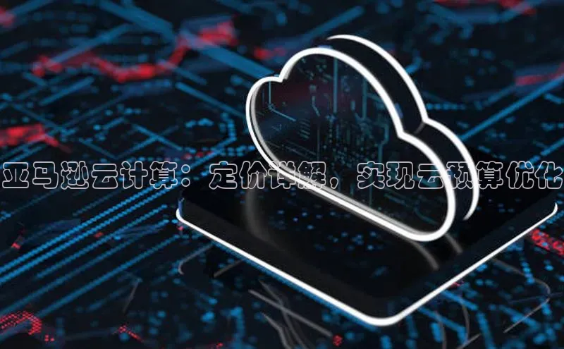 金年会app官方网巴美列捷福亚马逊云计算：定价详解，实现云预算优化