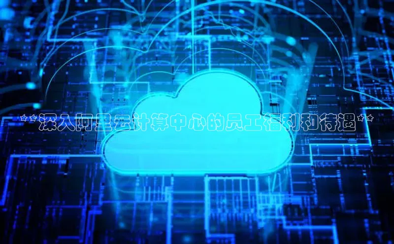 金年会app官方网小米**深入阿里云计算中心的员工福利和待遇**