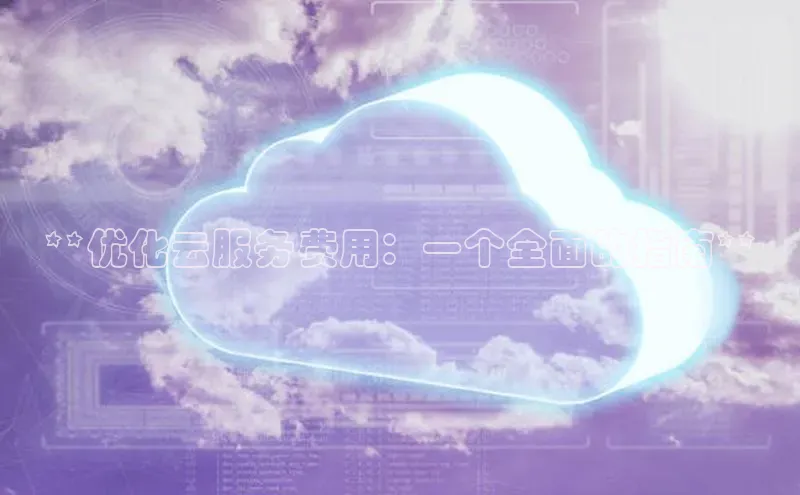 金年会金字招牌诚信至上|金年会首页百度取证**优化云服务费用：一个全面的指南**