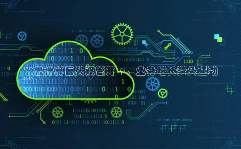 金年会·会官方入口登录度小满理财**云计算巨头双管齐下，业务增长势头强劲
**