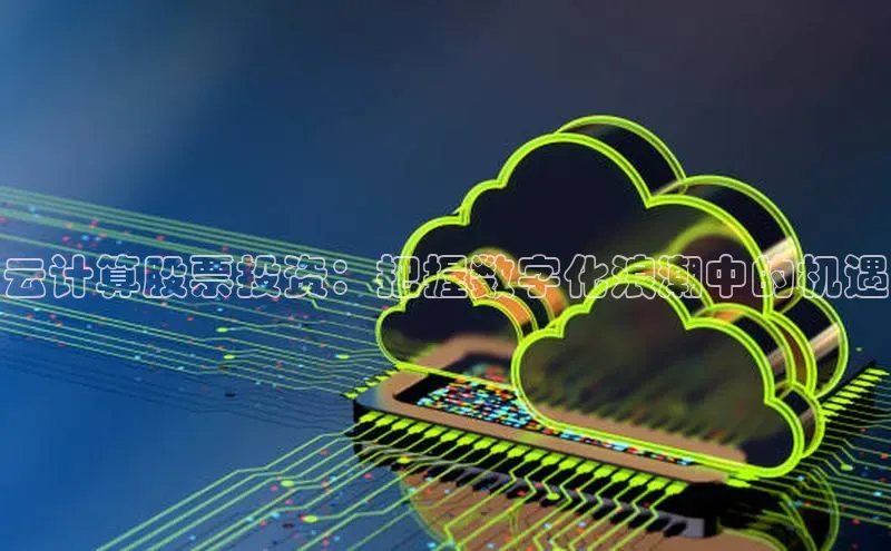 金年会金字招牌诚信至上|金年会首页赛富乐斯云计算股票投资：把握数字化浪潮中的机遇