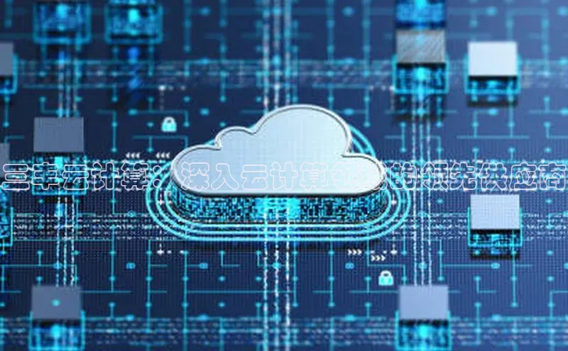 金年会金字招牌诚信至上|金年会首页赛富乐斯三丰云计算：深入云计算领域的领先供应商