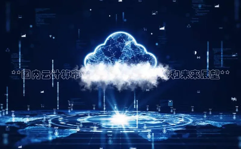 jinnianhui金年会登录入口观星盘**国内云计算市场洞察：趋势、挑战和未来展望**