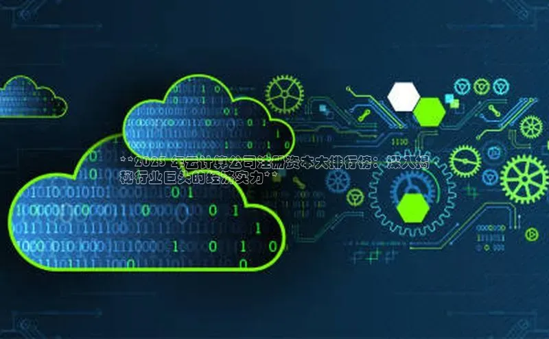 金年会电子游戏入口京东**2023 年云计算公司注册资本大排行榜：深入揭
秘行业巨头的经济实力**