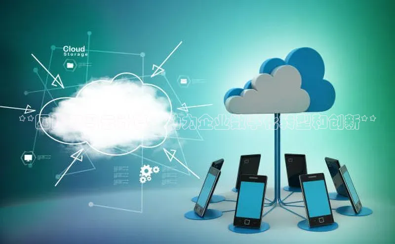 金年会金字招牌在线入口字节跳动**四川双马云计算：助力企业数字化转型和创新**