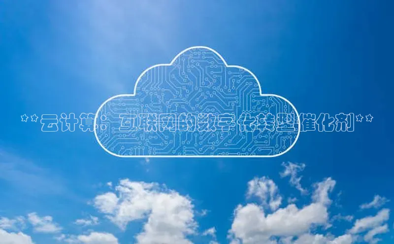 金年会电子游戏入口京东**云计算：互联网的数字化转型催化剂**