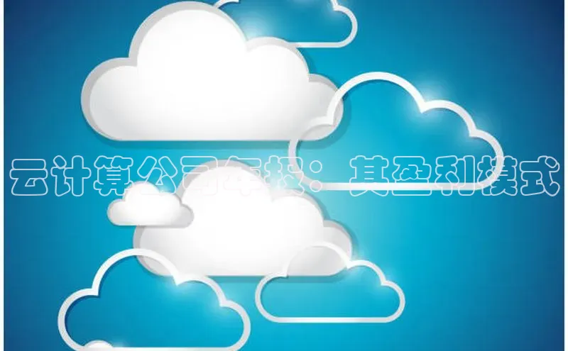 金年会电子游戏app诸葛科技云计算公司年报：其盈利模式