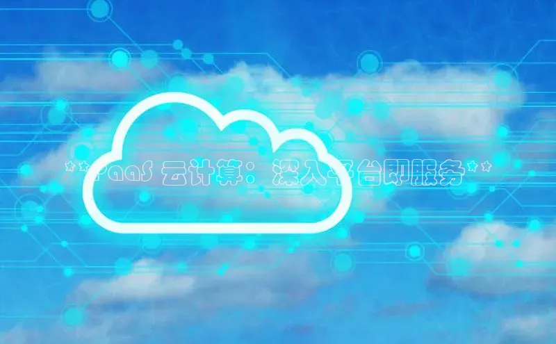 金年会官方网站入口汉得信息**PaaS 云计算：深入平台即服务**