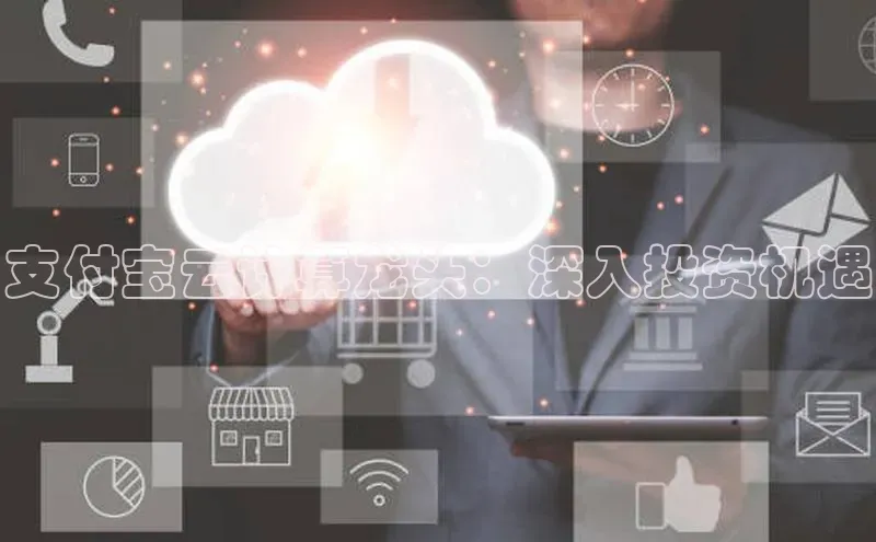 jinnian金年会极氪智能科技支付宝云计算龙头：深入投资机遇