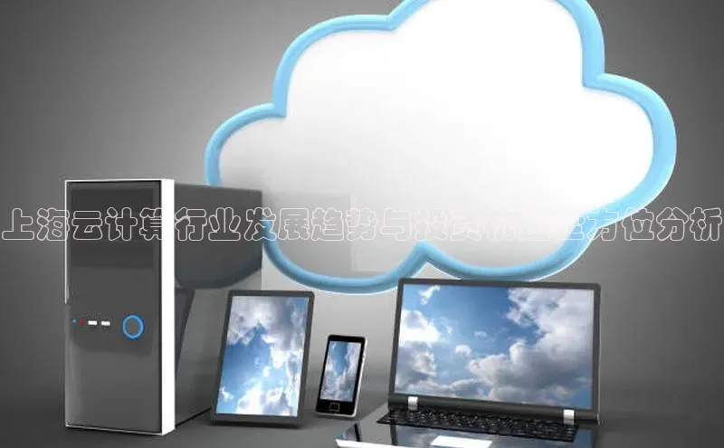 金年会金字招牌诚信至上|金年会首页赛富乐斯上海云计算行业发展趋势与投资机遇全方位分析