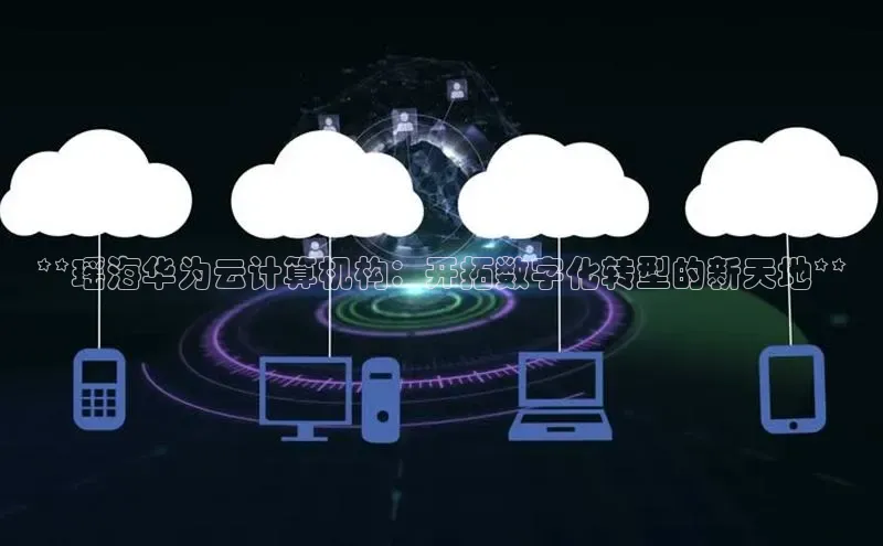 金年会电子游戏app华扬联众**瑶海华为云计算机构：开拓数字化转型的新天地**