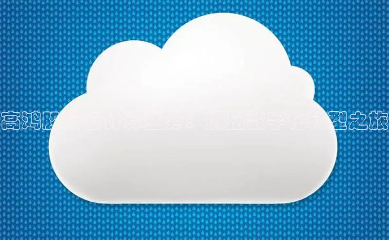 金年会 金字招牌诚信至上网易高鸿股份云计算业务：拥抱数字化转型之旅