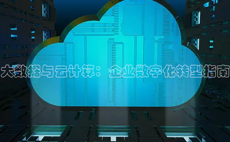 金字招牌诚信至上今年会普信公司大数据与云计算：企业数字化转型指南