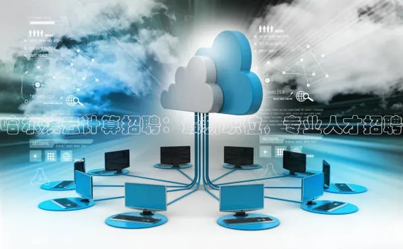 金年会诚信信誉至上雷柏科技哈尔滨云计算招聘：最新职位，专业人才招聘