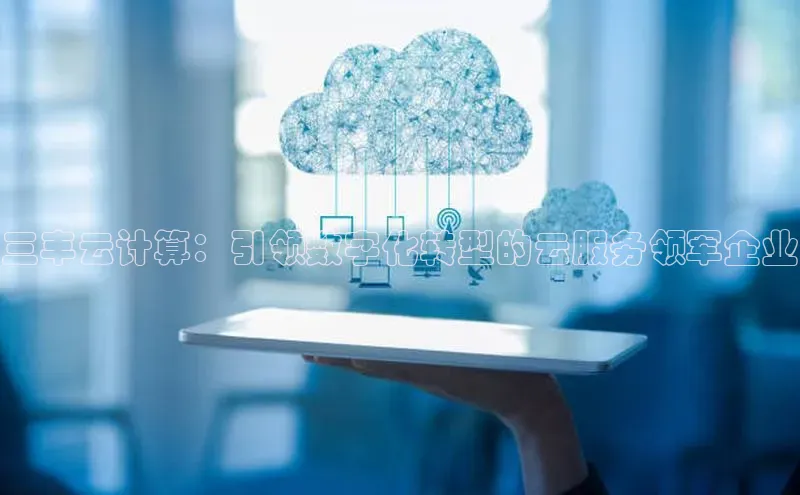 金年会网站入口百度安全社区三丰云计算：引领数字化转型的云服务领军企业