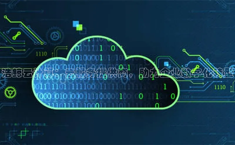 金年汇app官方网站下载安装百度智能云浩鲸云计算：云服务提供商，助力企业数字化转型