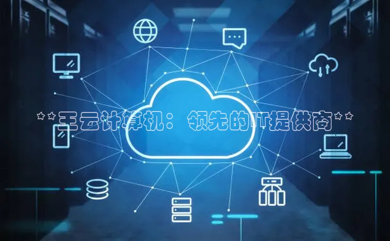 金年汇app官方网站下载安装百度游戏开放平台**王云计算机：领先的IT提供商**